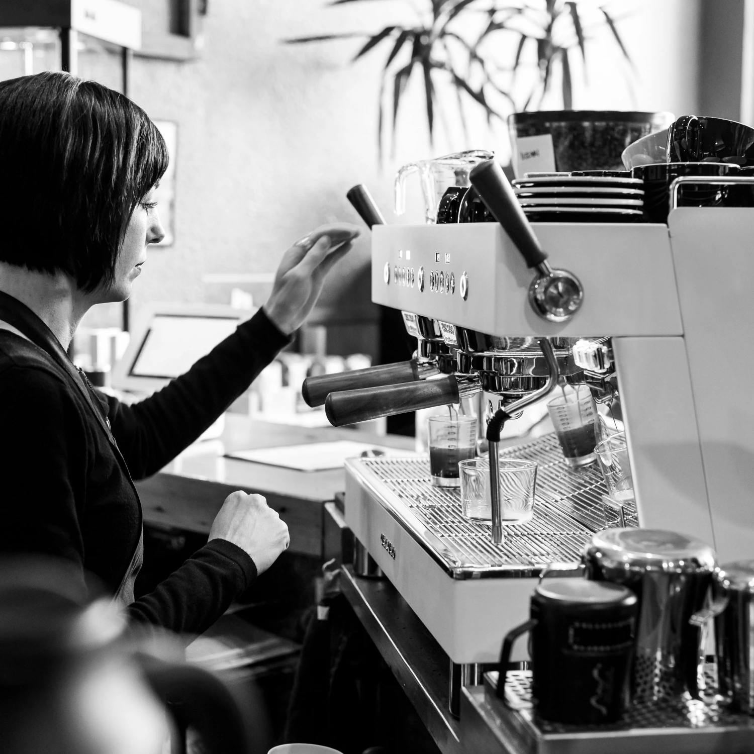 Ascaso Barista T Plus, Automatic 2 Group Espresso Machine, With Thermodynamic Technology (Inox)