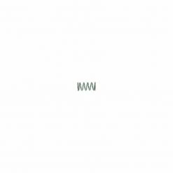 Parts La San Marco 'Flexa' Group Valve Spring